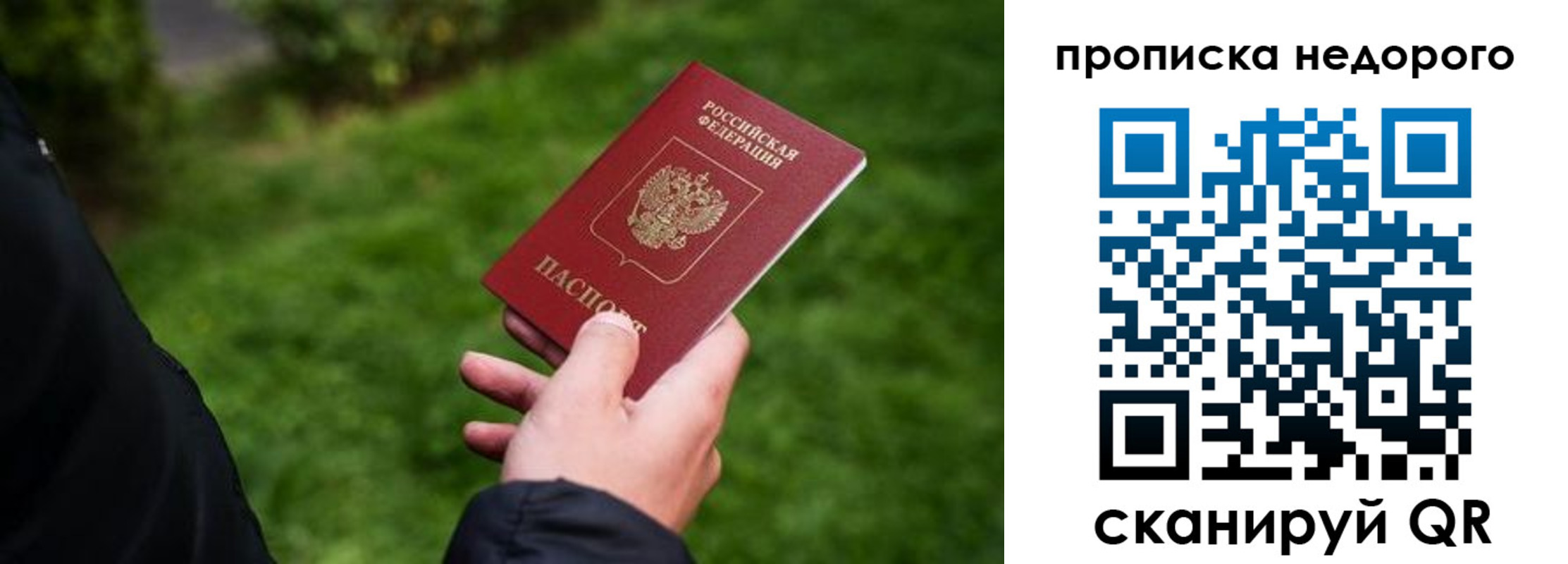 временная регистрация поиск в Сельцо
